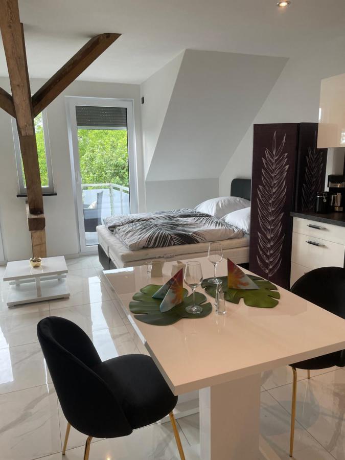 Ferienwohnungen Im Palmengarten - 40 Qm Heitersheim Eksteriør bilde